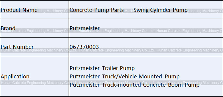 Putzmeister Swing / Plunger Cylinder Pump 067370003