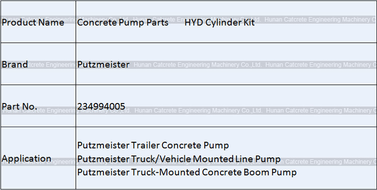 Putzmeister Seal Kits for HYD Cylinder 234994005