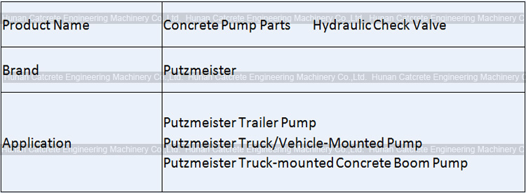 Putzmeister Concrete Pump Hydraulic Check Valve