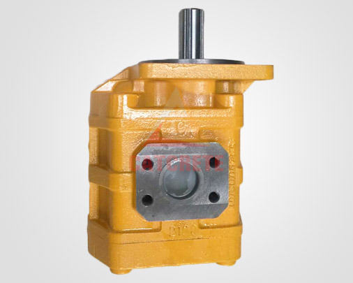 Zoomlion Crane Spare Parts Gear Pump 1010000063