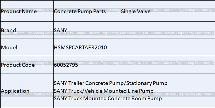 SANY Concrete Pump Parts Single Valve HSMSPCARTAER2010 60052795