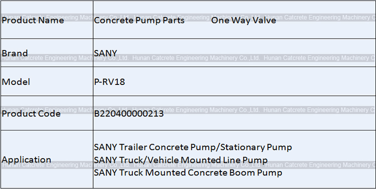 SANY Concrete Pump Parts One Way Valve P-RV18 B220400000213