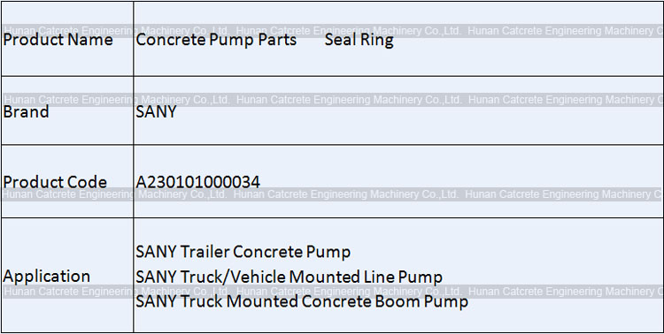 SANY Concrete Pump Seal Ring A230101000034