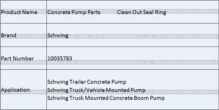 Schwing Clean Out Seal Ring DN250 10035783