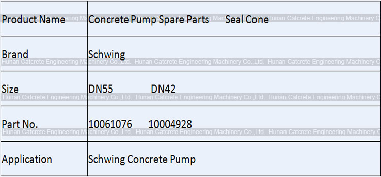 Schwing Seal Cone DN55 DN42 10061076 10004928