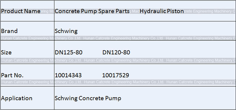 Schwing Hydraulic Piston DN125-80 DN120-80 10014343 10017529