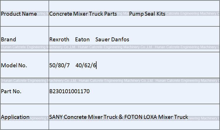 SANY Foton Loxa Concrete Mixer Truck Parts Hydraulic Pump Seal Kits R909831179 B230101001170