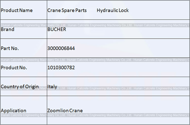 Zoomlion Crane Spare Parts BUCHER Hydraulic Lock 3000006844 1010300782