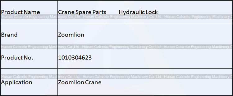 Zoomlion Crane Spare Parts Hydraulic Lock 1010304623