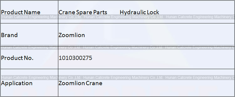 Zoomlion Crane Spare Parts Outrigger Hydraulic Lock 1010300275