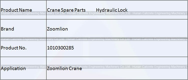 Zoomlion Crane Spare Parts Hydraulic Lock 1010300285