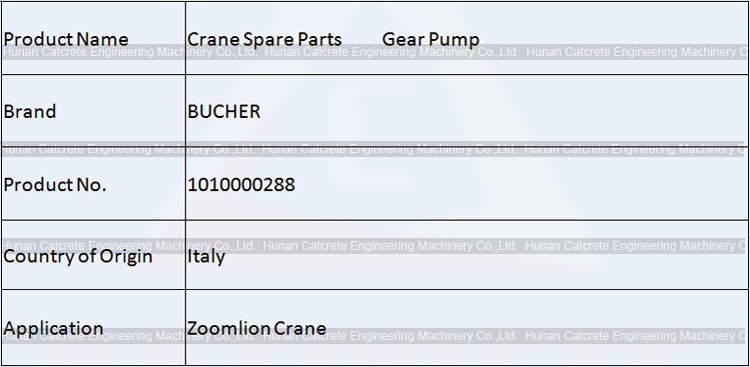 Zoomlion Crane Spare Parts BUCHER Gear Pump 1010000288