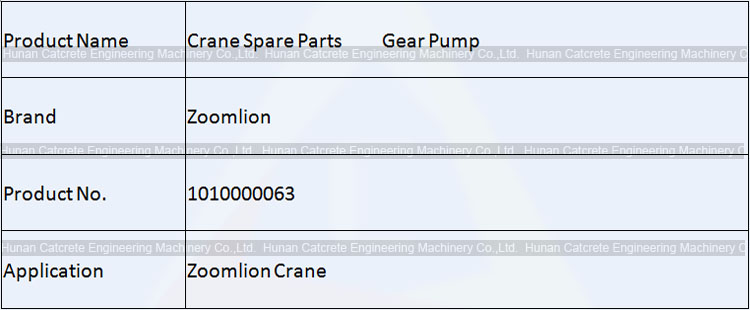 Zoomlion Crane Spare Parts Gear Pump 1010000063