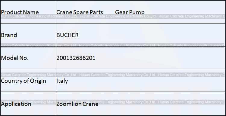 Zoomlion Crane Spare Parts BUCHER Double Gear Pump 200132686201