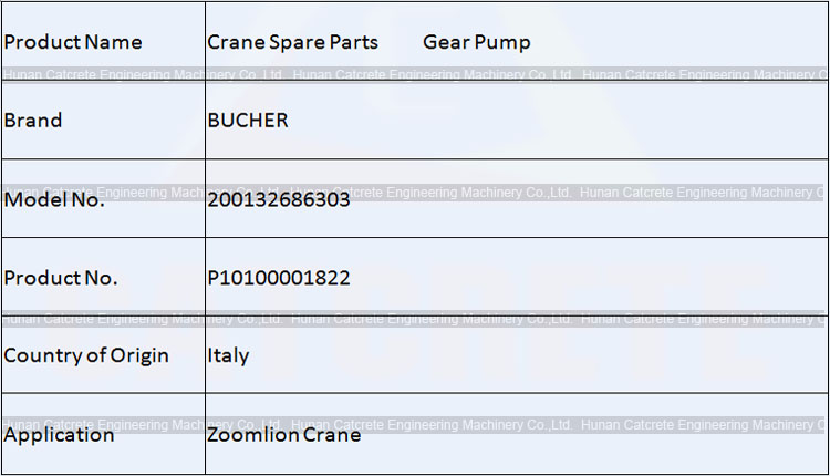 Zoomlion Crane Spare Parts BUCHER Double Gear Pump 200132686303 P10100001822