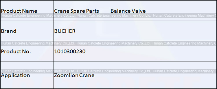 Zoomlion QY100 Crane Spare Parts BUCHER Balance Valve 1010300230