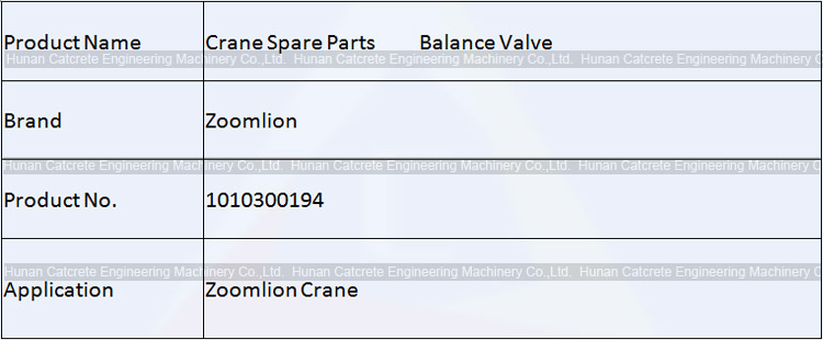 Zoomlion Crane Spare Parts Balance Valve 1010300194