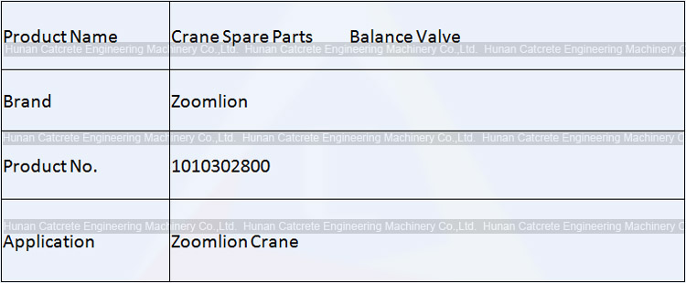 Zoomlion Crane Spare Parts Balance Valve 1010302800