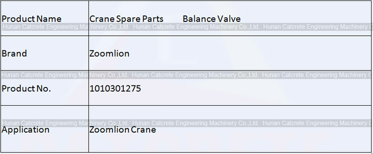 Zoomlion QY20 Crane Spare Parts Balance Valve 1010301275