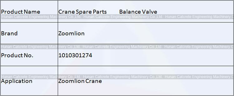 Zoomlion Crane Spare Parts Balance Valve 1010301274