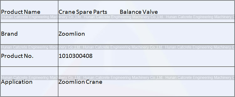 Zoomlion Crane Spare Parts Balance Valve 1010300408