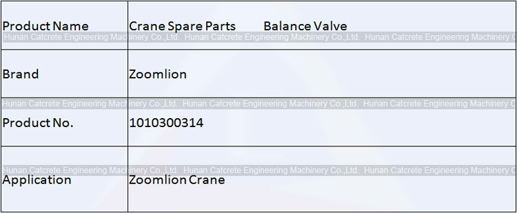 Zoomlion Crane Spare Parts Balance Valve 1010300314