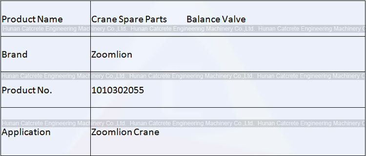 Zoomlion Crane Spare Parts Balance Valve 1010302055