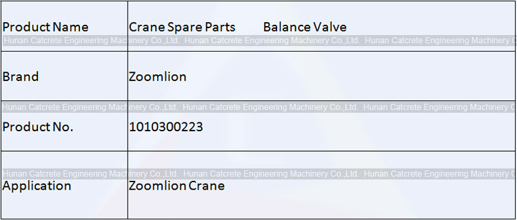 Zoomlion Crane Spare Parts Balance Valve 1010300223