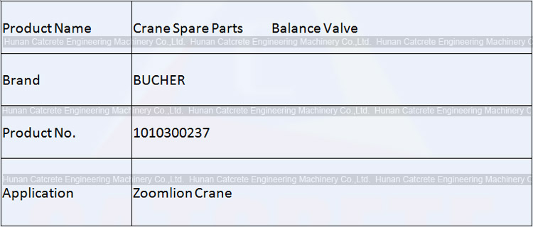 Zoomlion Crane Spare Parts BUCHER Balance Valve 1010300237