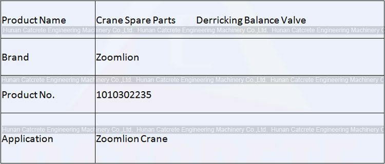 Zoomlion Crane Spare Parts Derricking Balance Valve 1010302235