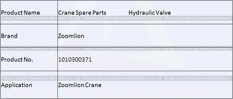 Zoomlion Crane Spare Parts Hydraulic Valve 1010300371