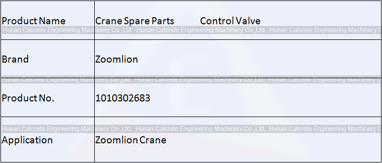 Zoomlion Crane Spare Parts Control Valve 1010302683