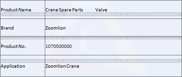 Zoomlion Crane Spare Parts Valve 1070500000