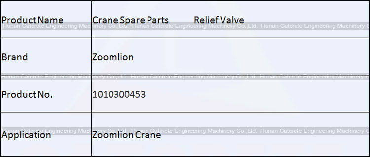 Zoomlion Crane Spare Parts Relief Valve 1010300453