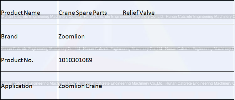 Zoomlion Crane Spare Parts Relief Valve 1010301089