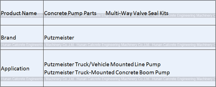 Putzmeister Concrete Pump Multi-Way Valve Seal Kits