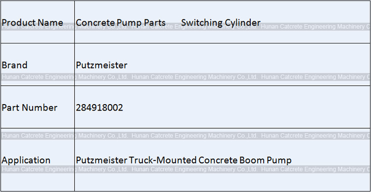 Putzmeister Concrete Pump Spare Parts Switching Cylinder 284918002