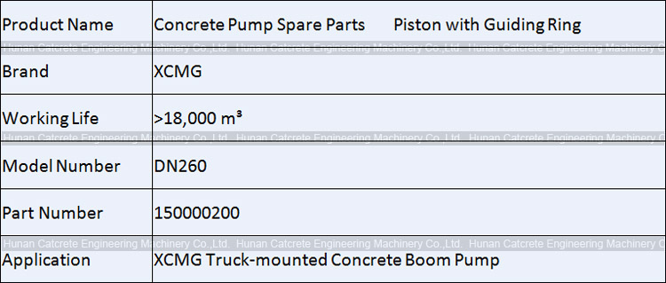 XCMG HB39K Concrete Pump Parts Supplier Piston with Guiding Ring DN260 150000200 152601244